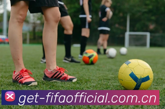 FIFA 官方数据授权认证